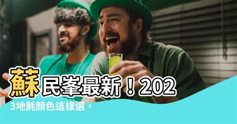 2023地氈顏色